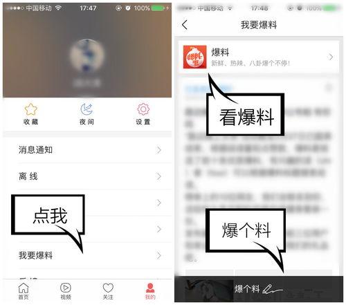 爆料视频入口在哪里看到,爆料视频入口，一探究竟！